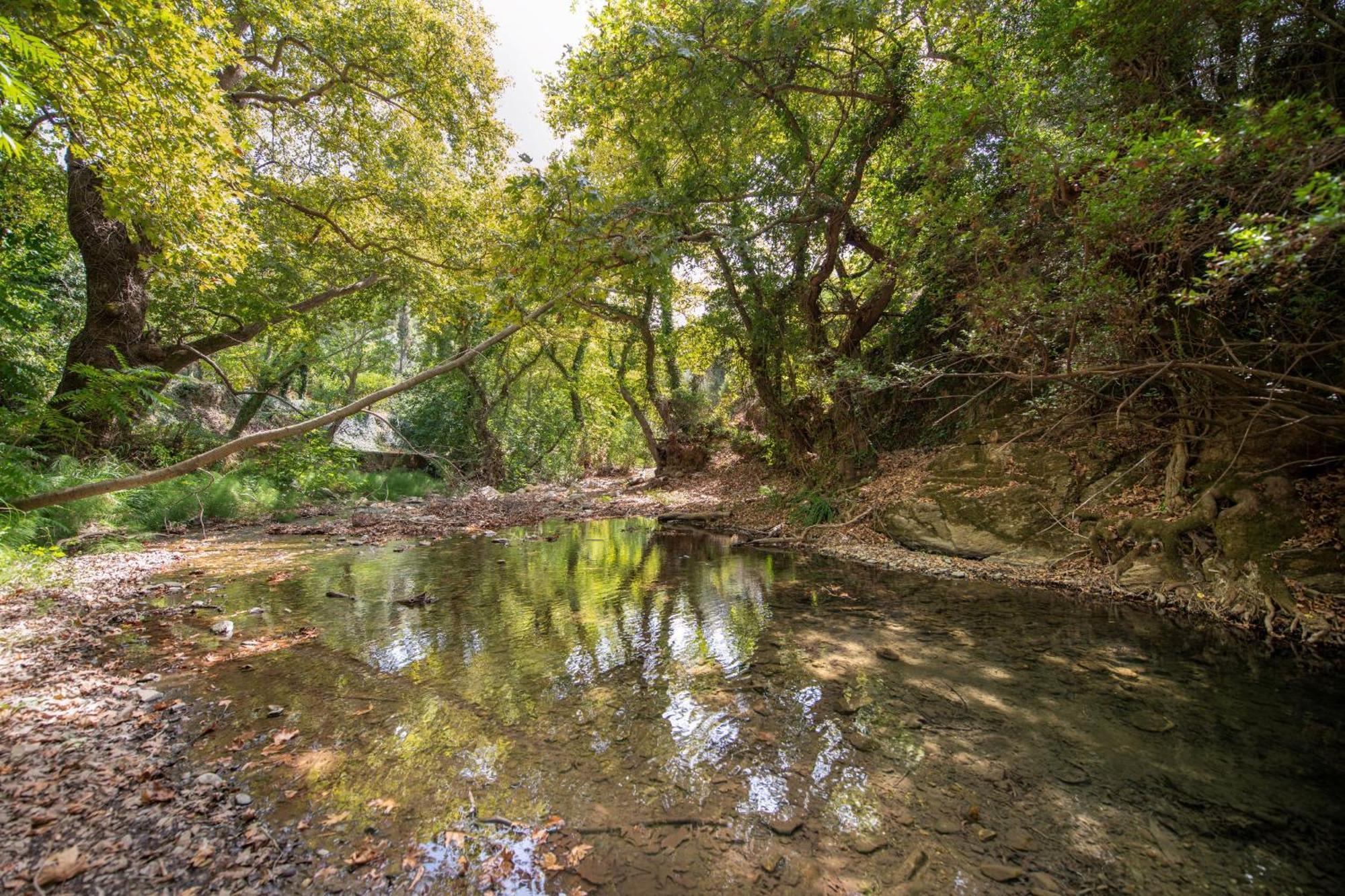 Serenity River Villa Palaiochora Dış mekan fotoğraf