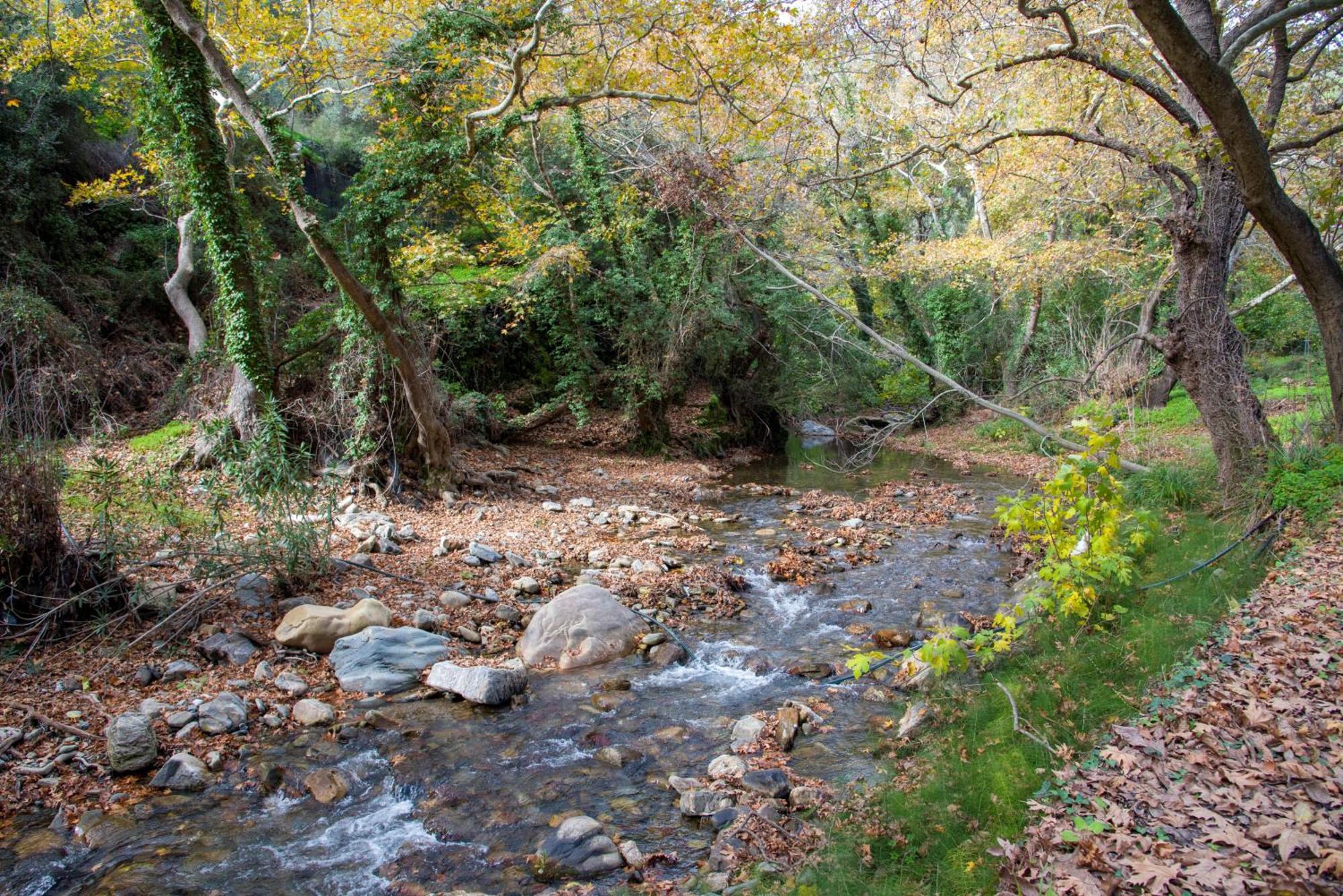 Serenity River Villa Palaiochora Dış mekan fotoğraf