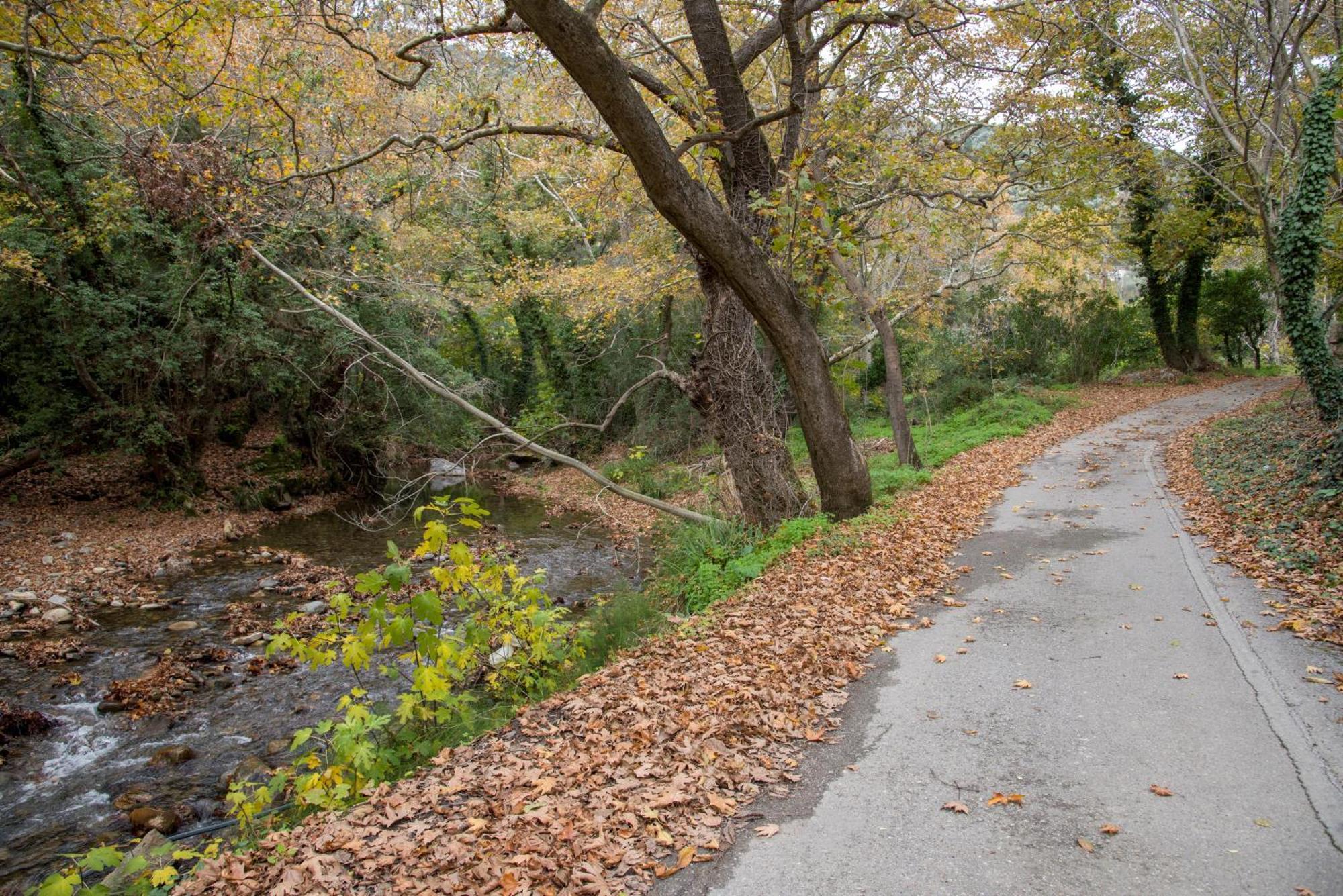 Serenity River Villa Palaiochora Dış mekan fotoğraf